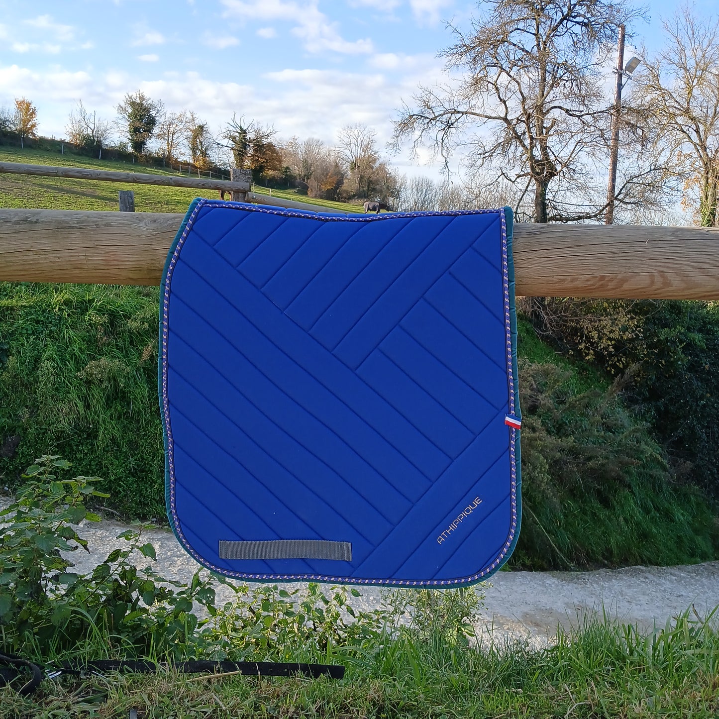 Tapis de selle Dressage Bleu Roi