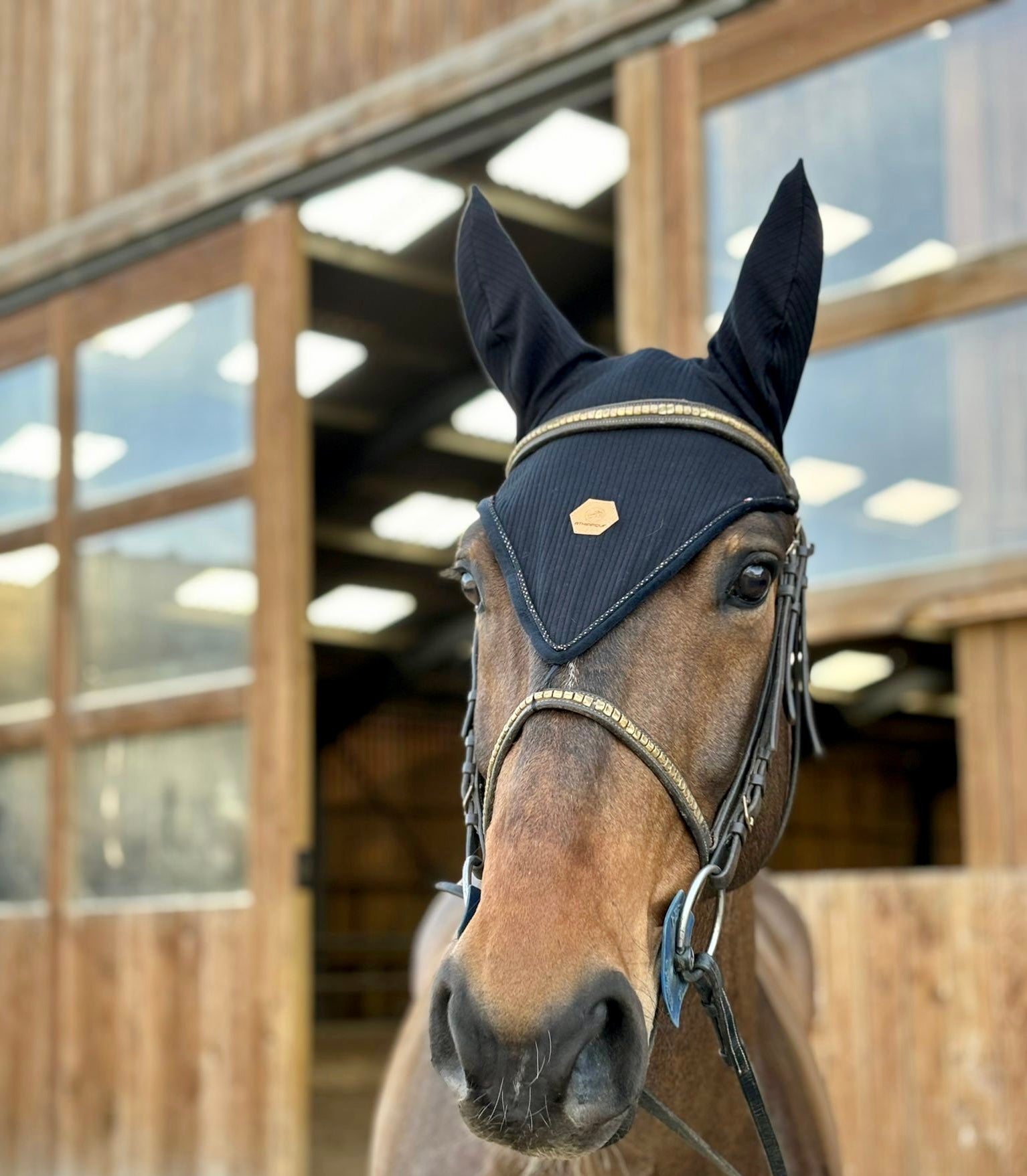Bonnet D’oreilles Butet Noir Pour Cheval – Voile Mouche Avec Logo Bronze