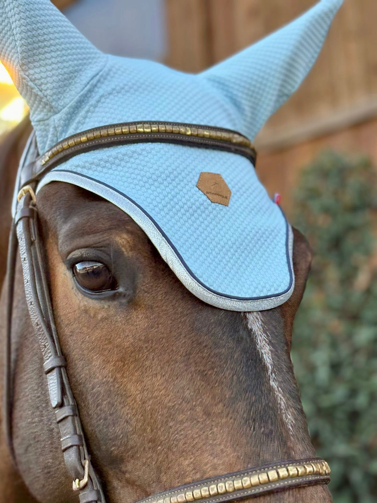 Bonnet cheval Bleu Ciel