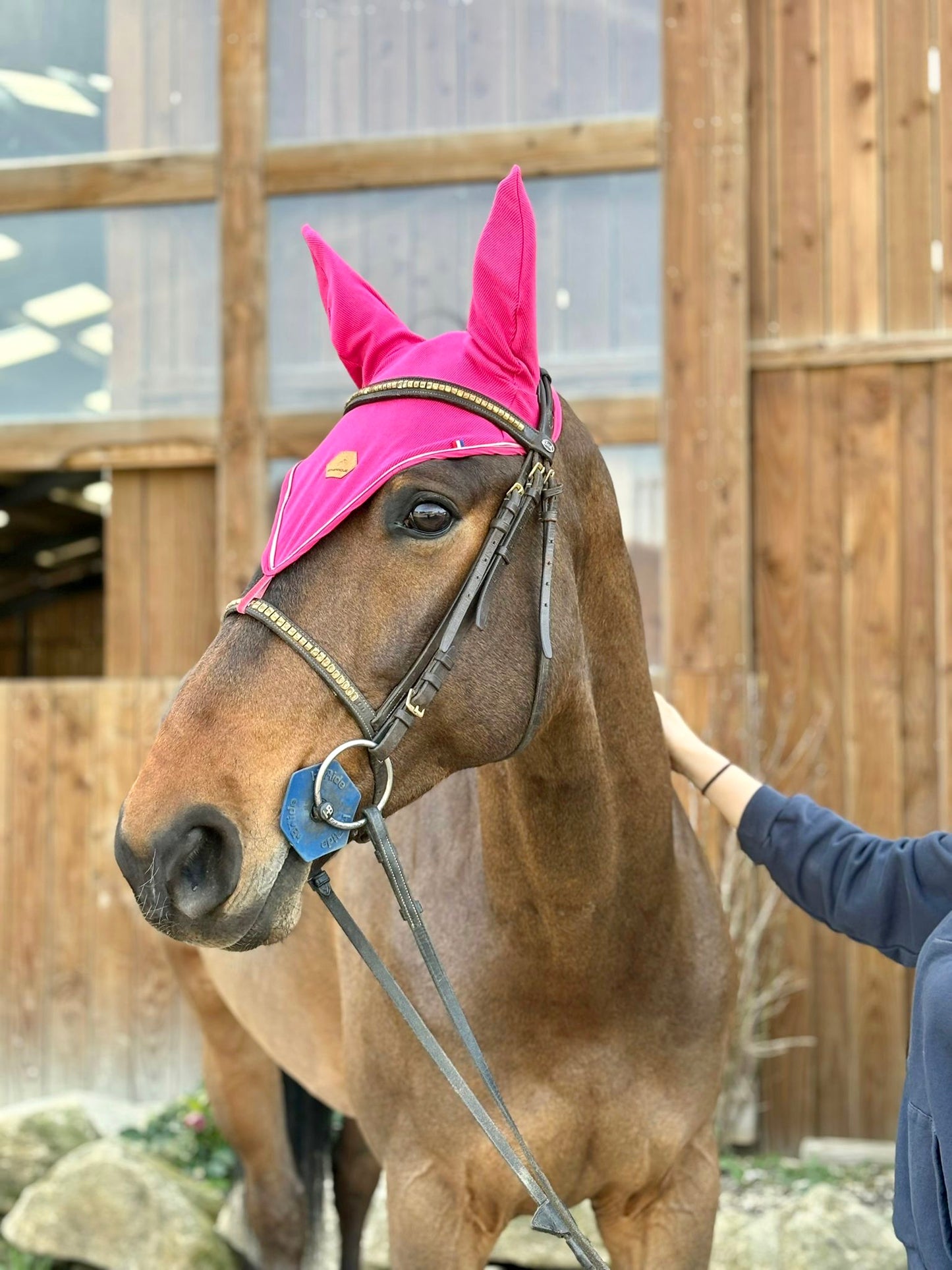 Bonnet cheval Fuchsia-coupe longue