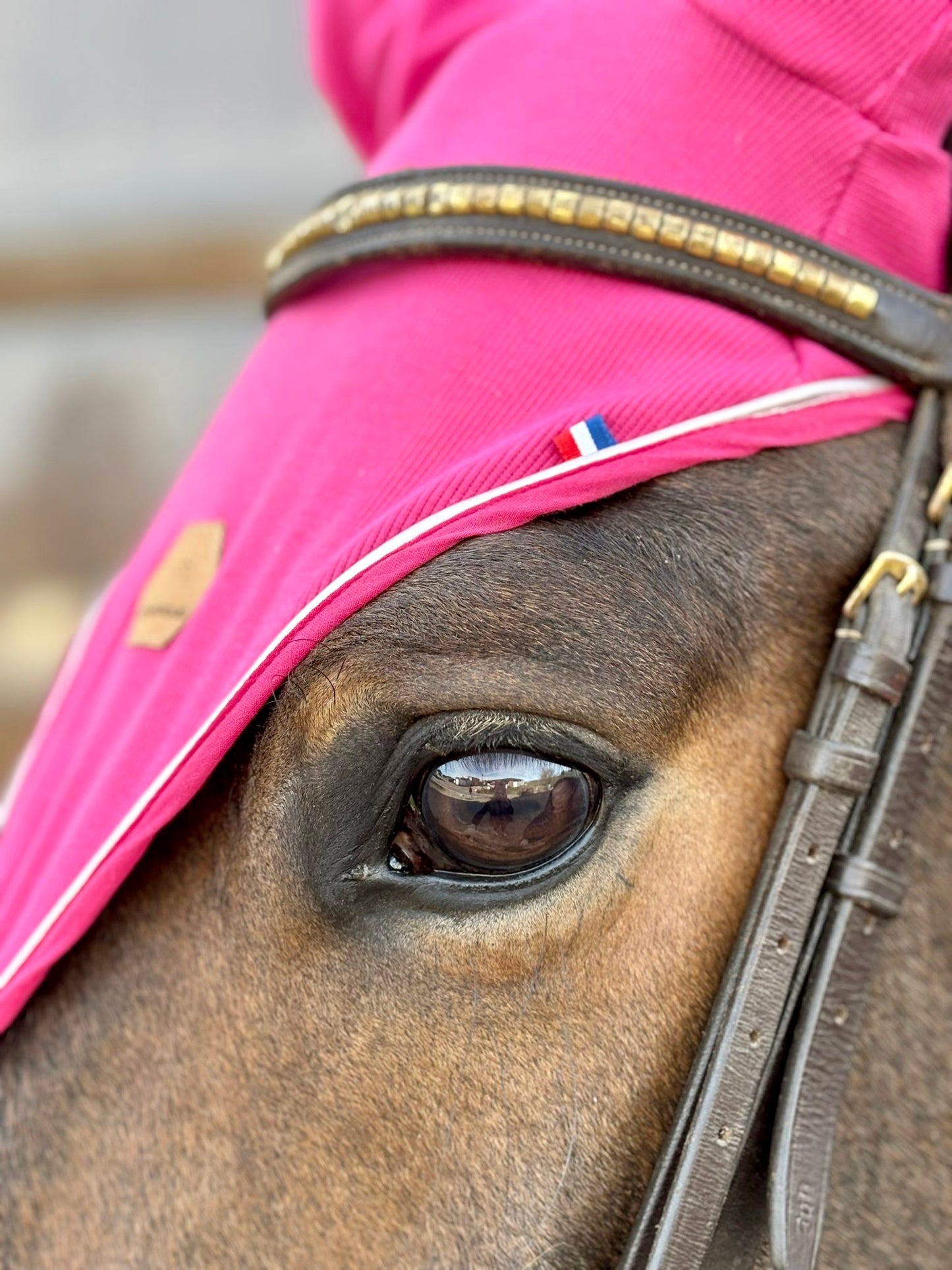 Bonnet cheval Fuchsia-coupe longue