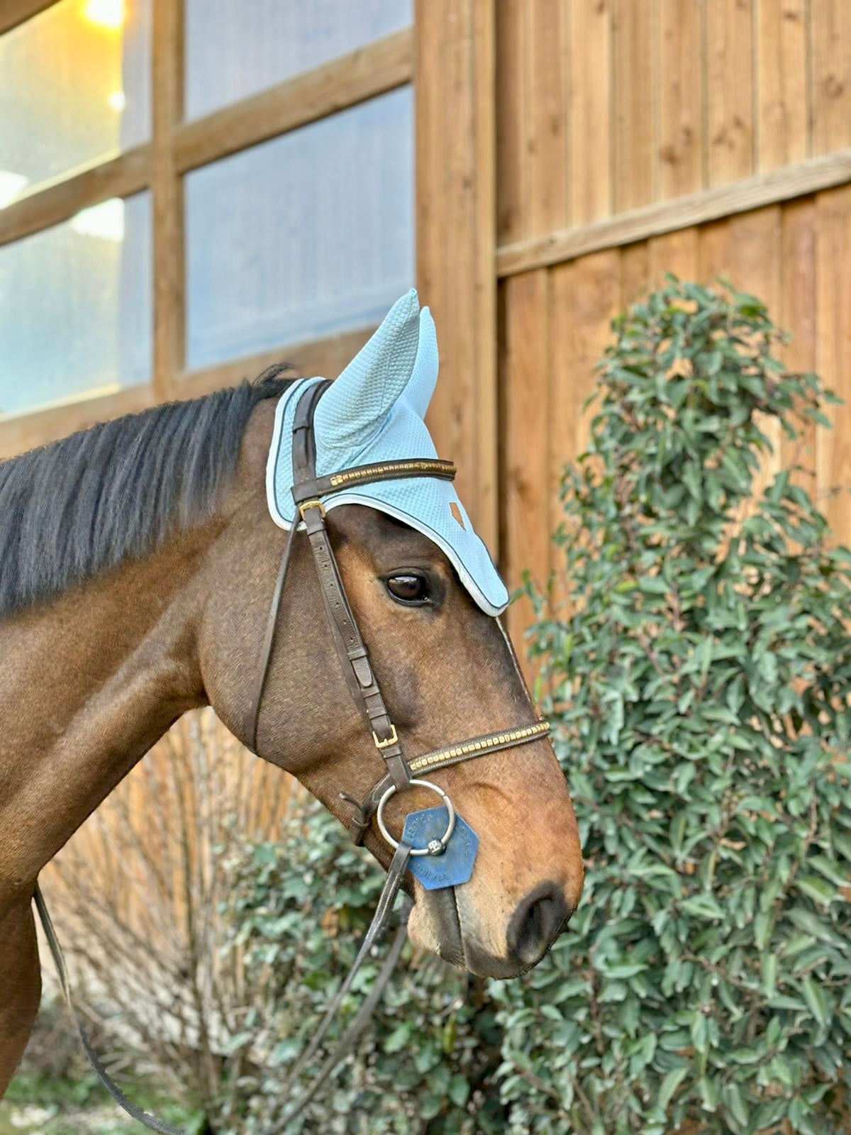 Bonnet cheval Bleu Ciel
