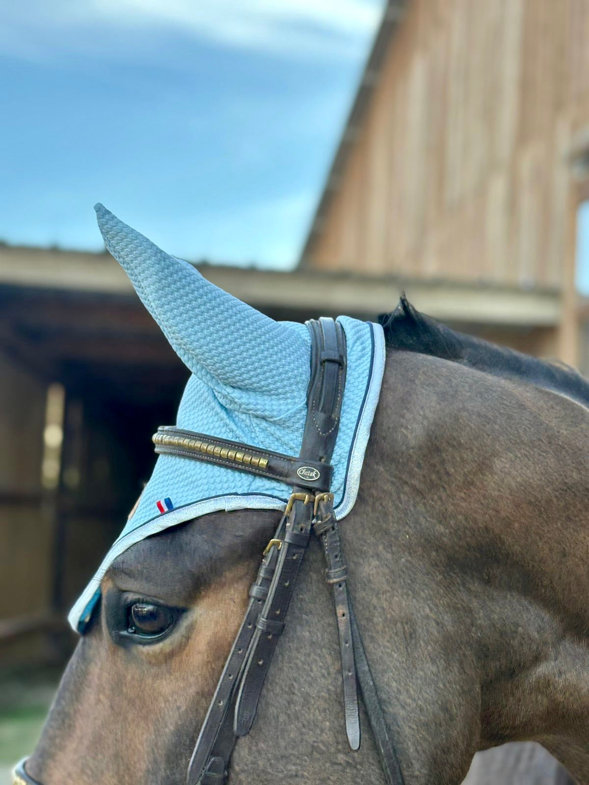 Bonnet cheval Bleu Ciel