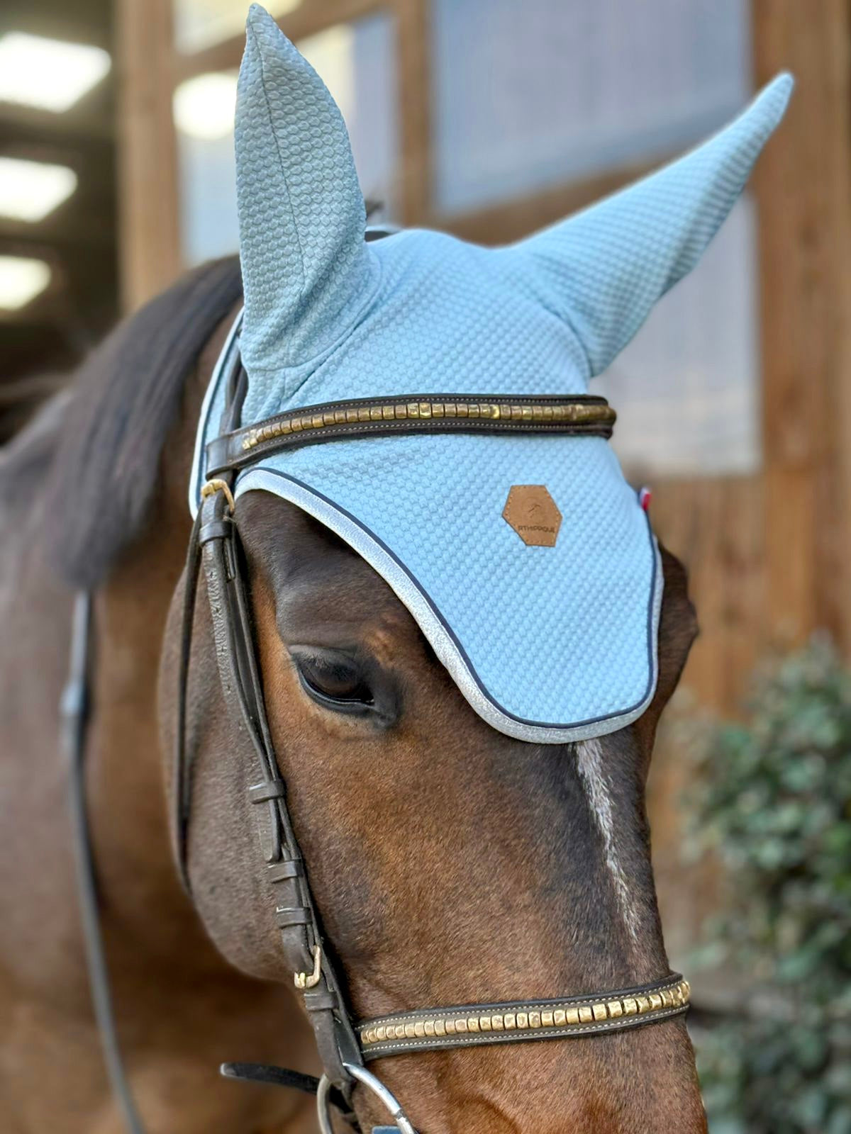 Bonnet cheval Bleu Ciel