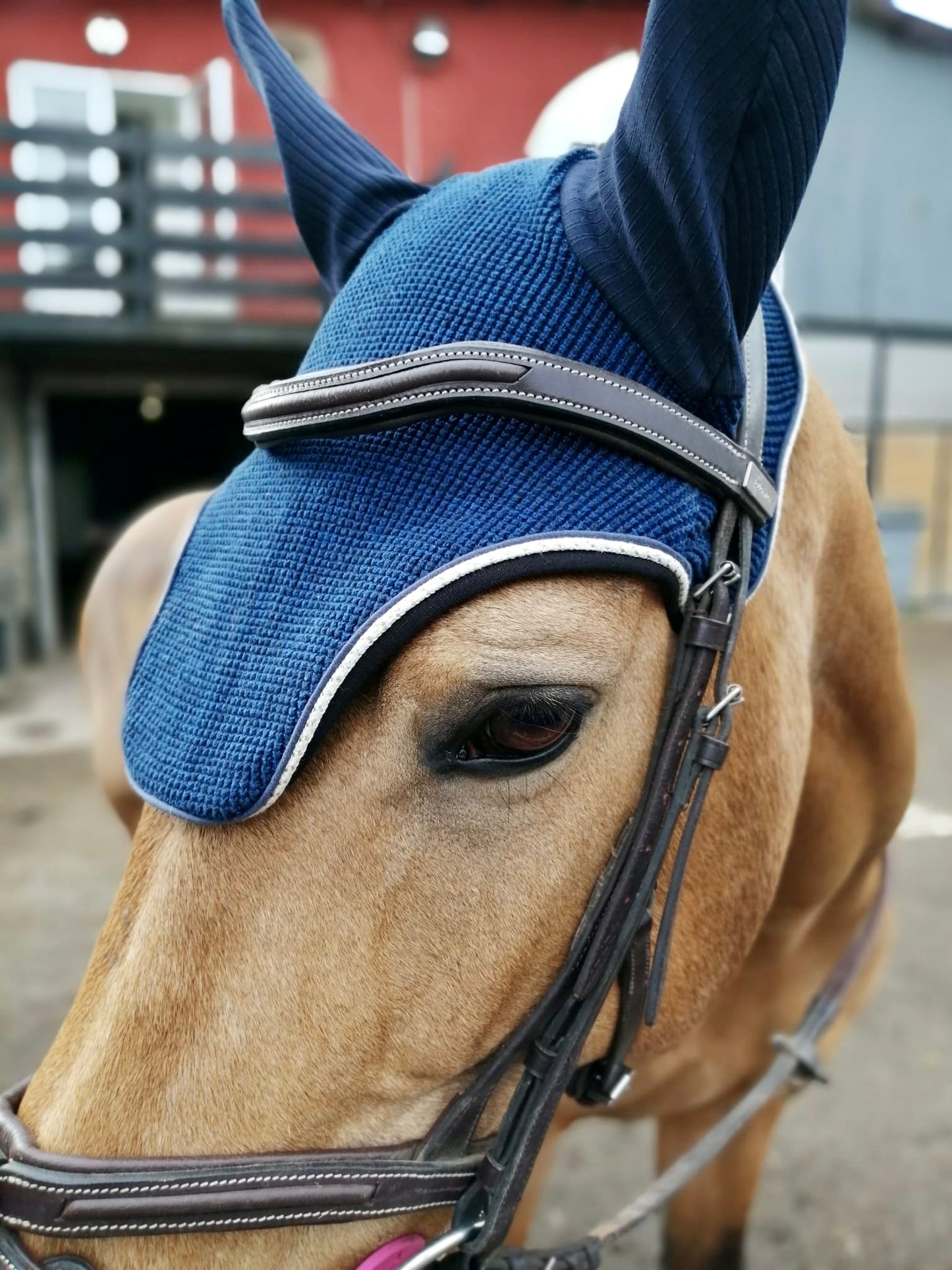 Bonnet bleu Basic blanc