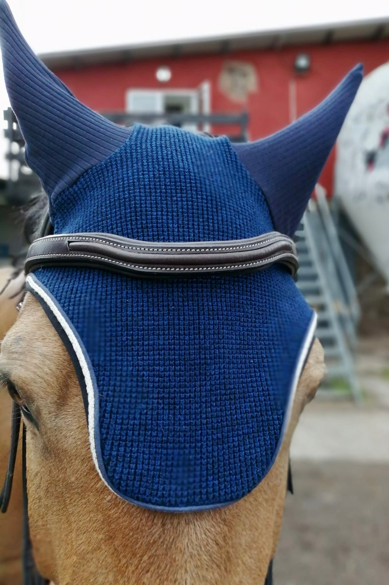 Bonnet bleu Basic blanc