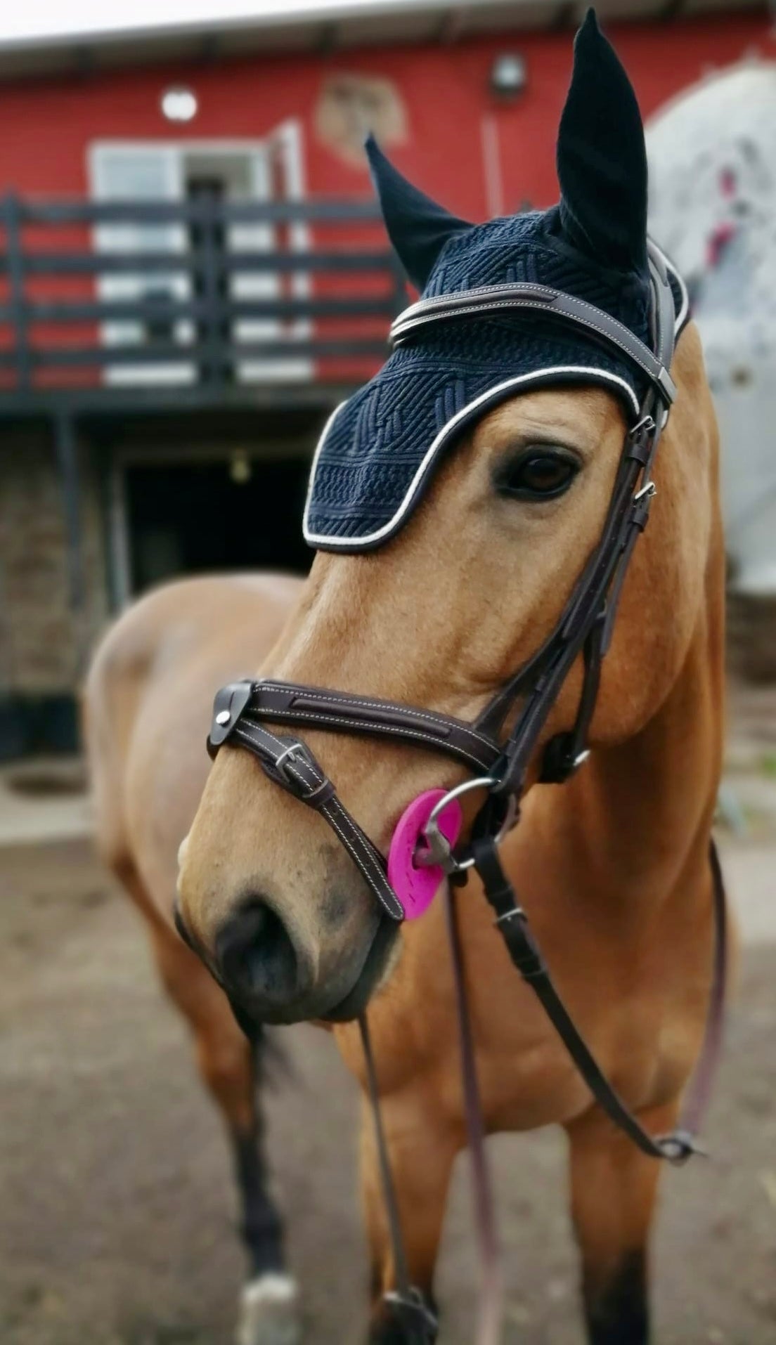 bonnet-chevaux