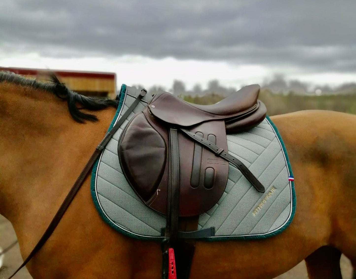 Tapis de selle imprimé Jumping