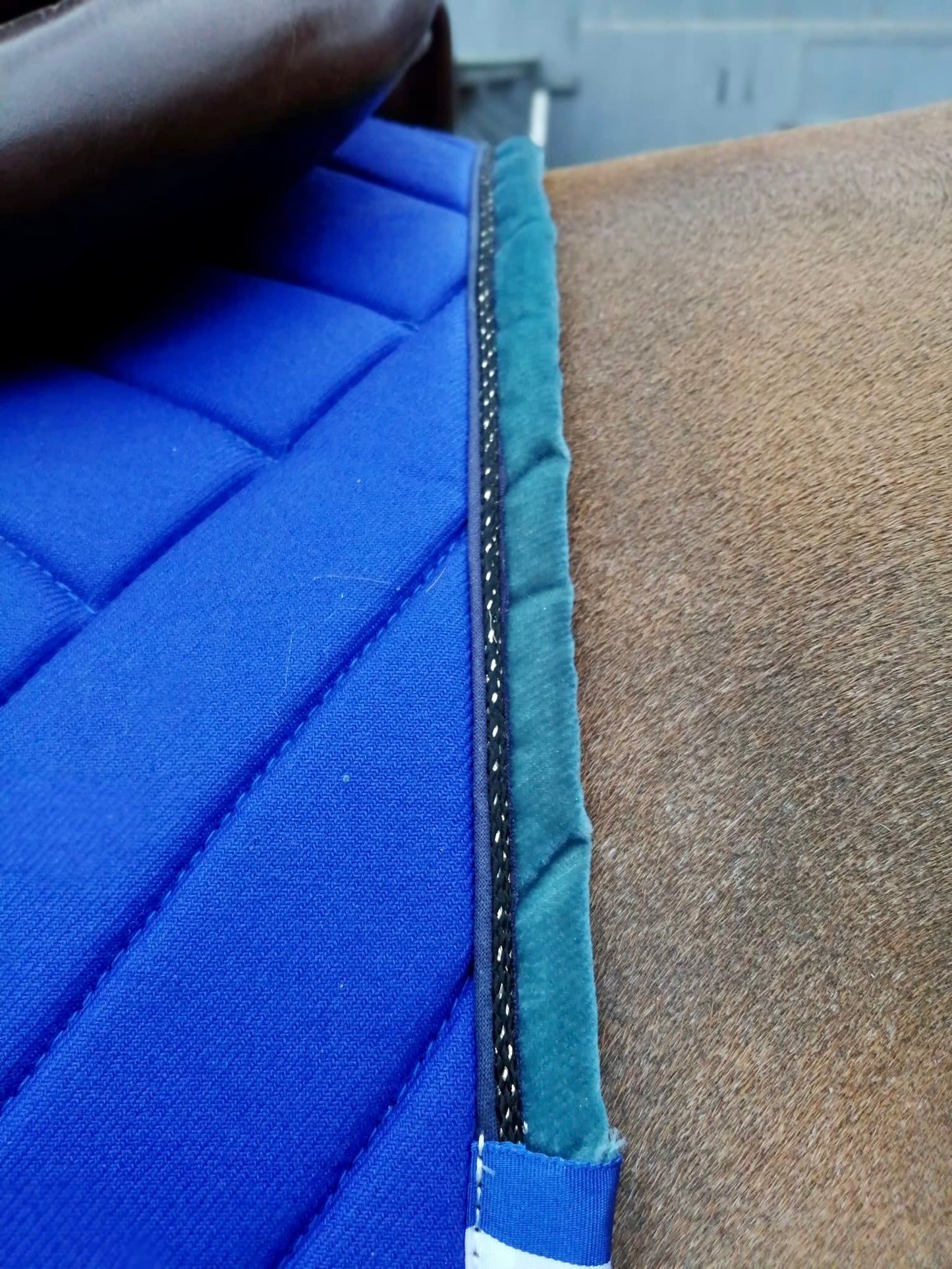 Tapis de selle bleu roi uni Jumping