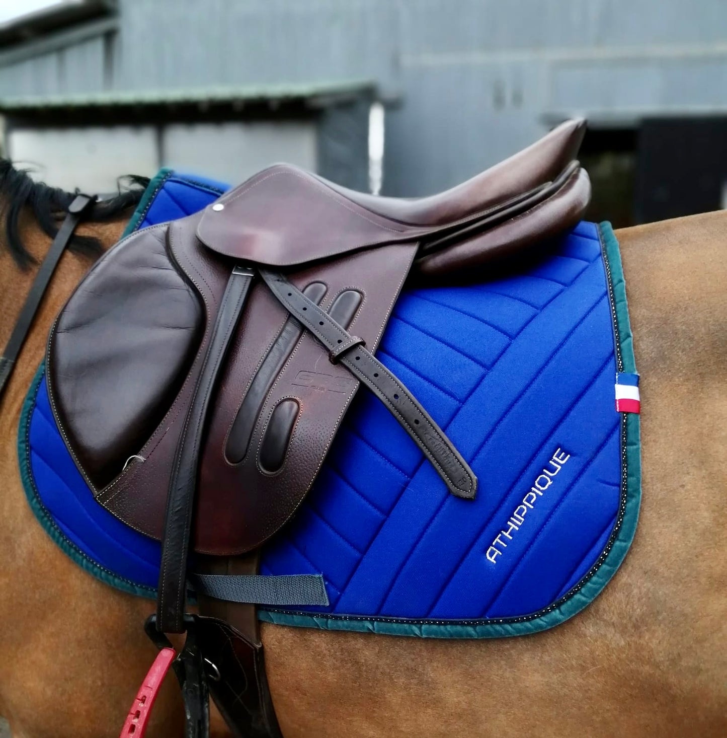 Tapis de selle bleu roi uni Jumping