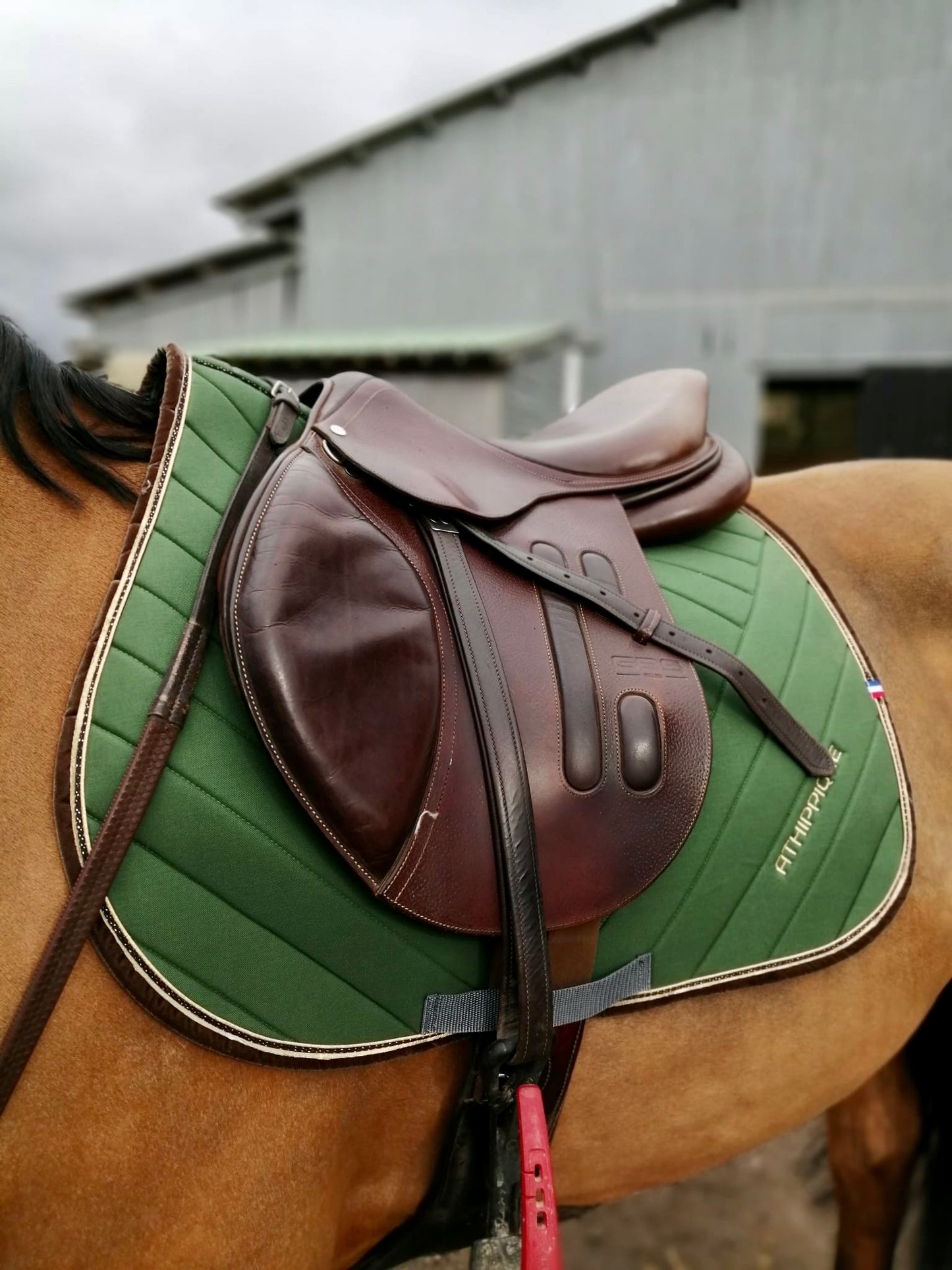 Tapis de selle vert uni Jumping