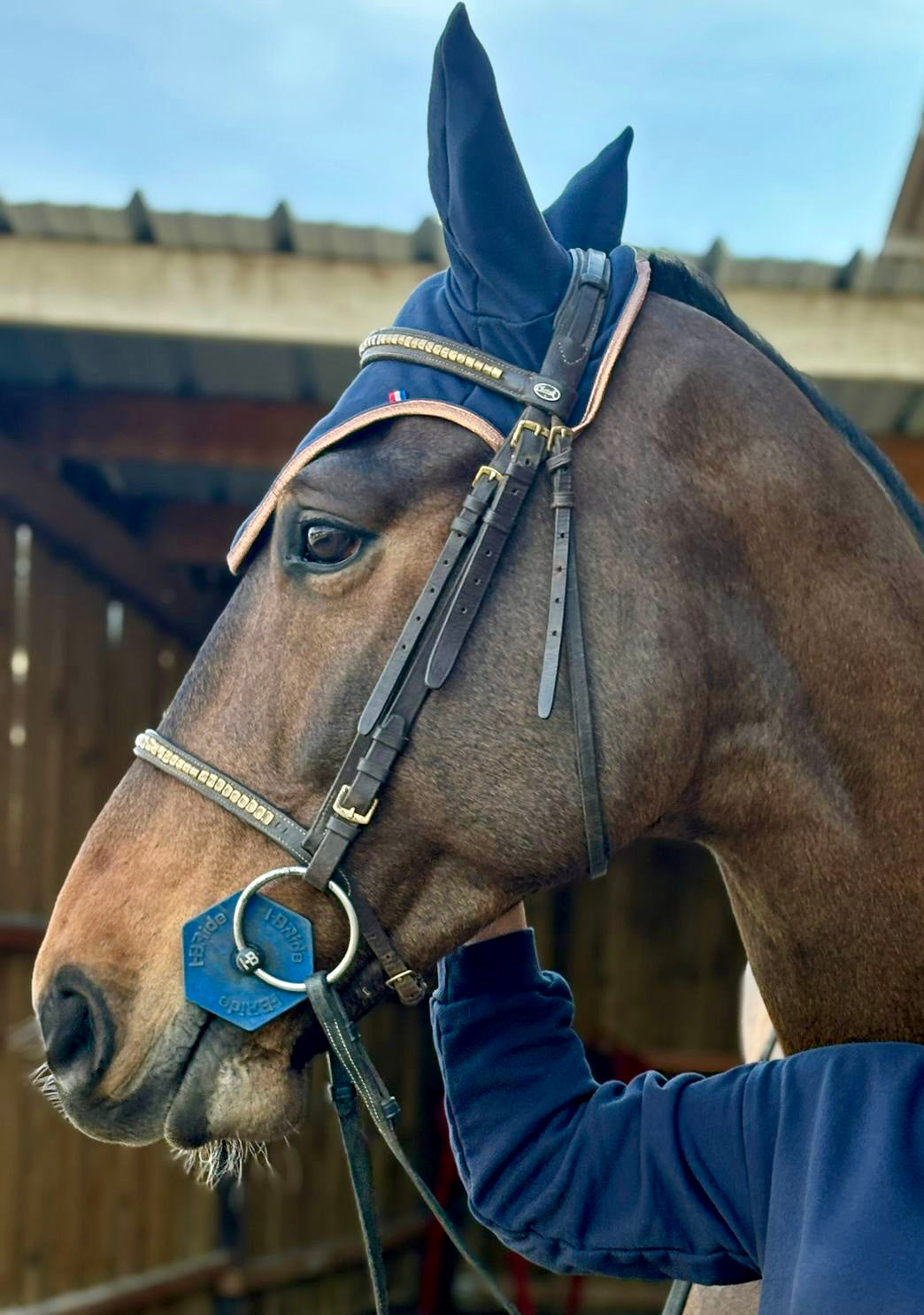 Navy Blue Horse Fly Bonnet