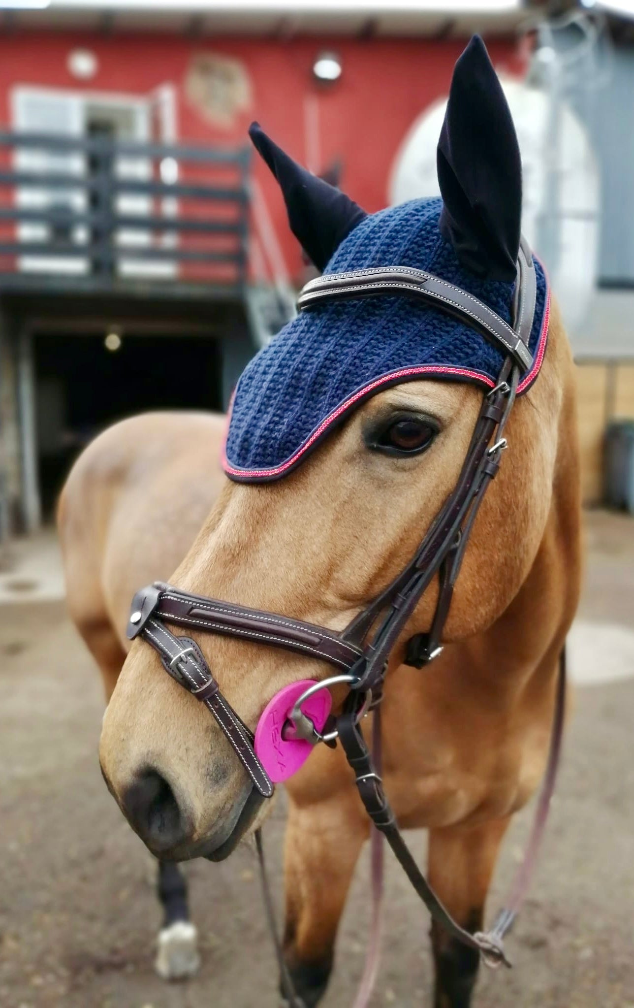 Bonnet bleu Basic rouge